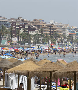 Informes sobre la marcha del turismo en la Provincia