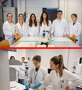 El alumnado del programa «Jóvenes y Ciencia» de la Fundación Cataluña La Pedrera ha valorado su estancia en el INAM de la UJI como «muy útil y enriquecedora»
