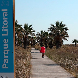 Castelló destinará más de 340.000 euros al mantenimiento del parque litoral y el paseo marítimo