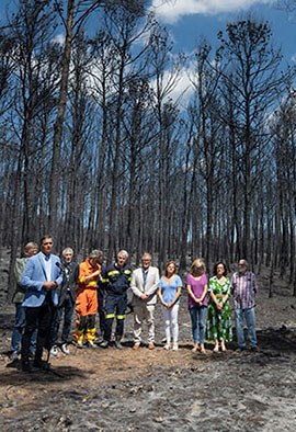 Visita oficial del presidente del Gobierno, Pedro Sánchez, a la zona afectada por el incendio del Alto Palancia