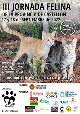 III Jornada Felina de Castelló