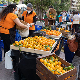 Castelló abre el plazo para participar en la Fira de la Taronja 2022-2023