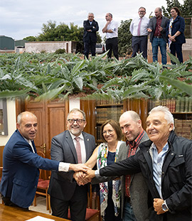 La Diputación de Castellón refuerza su apoyo a la calidad de la Carxofa de Benicarló y apuesta por  potenciar la unión de sector primario y gastronomía