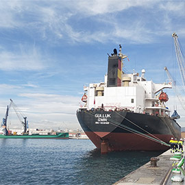 El puerto de Castellón mueve 18 millones de toneladas en lo que va de año