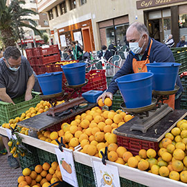 Castelló celebrará la Fira de la Taronja los sábados 24 y 31 de diciembre