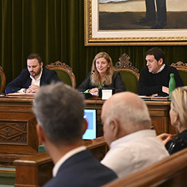 Castelló aprueba cambios fiscales para impulsar la energía sostenible y facilitar bonificaciones