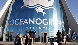 El Oceanogràfic de València supera 1,6 millones de visitantes en 2022 e iguala cifras de prepandemia