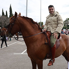 Castelló celebra la festividad de San Antonio