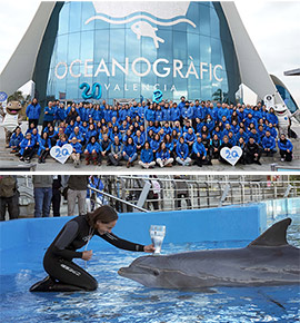 Oceanogràfic València: 20 años cuidando la vida en el mar