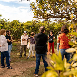 Castelló acogerá el sábado el Mercat de la Terra con productos de proximidad y ecológicos