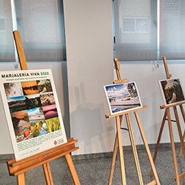 Castelló expone en el centro la Marina del Grau las fotografías del concurso Marjaleria Viva