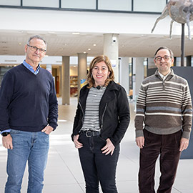 Dos proyectos de la UJI en el campo de la lingüística estudian los géneros digitales de uso académico en la docencia en inglés y las variaciones y cambios en el español desde el siglo XV hasta la actualidad