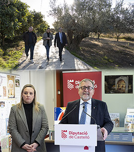 La Diputación de Castellón destina 710.000 euros para ayudas y actuaciones a favor de los trece municipios afectados por los incendios de 2022