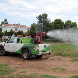 Benicàssim solicita a la Diputación actuaciones urgentes de desbroce para prevenir la proliferación de mosquitos