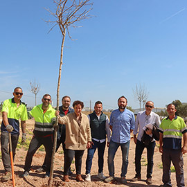Onda planta los primeros árboles del bosque olímpico e implica a la ciudadanía en la iniciativa
