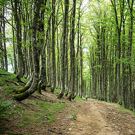 Camino de Santiago: la nueva aventura de viajes Alma Libre y Raquel Muñoz