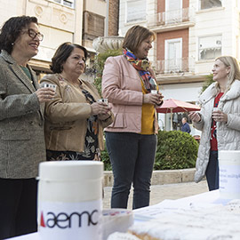 La Diputación de Castellón abre el plazo para destinar subvenciones al transporte adaptado en favor de personas con movilidad reducida