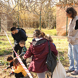 Castelló es ecologia celebrará este sábado el Día de la Tierra con un ´scape room´ en el Pinar