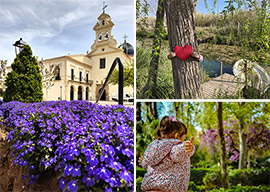 Ya se conocen las obras ganadoras del Concurso Fotográfico de Cáritas Diocesana