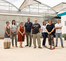 Cuatro estudios de la UJI trabajan para mejorar la resistencia de las plantas y el uso de aguas residuales sin contaminantes para la agricultura