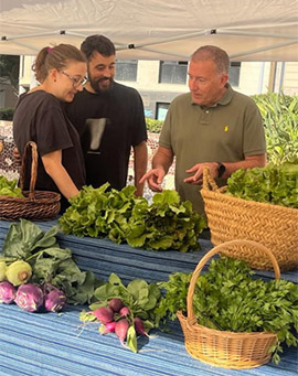 Castellón inaugura su mercado agroecológico 'Sabora' en la plaza Fadrell