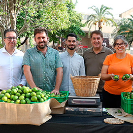 El Mercat de la Taronja deja buenas sensaciones en el primer domingo de actividad
