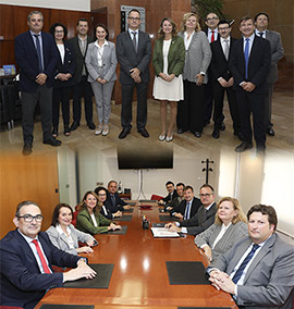 Carrasco: ´Contamos con el Colegio de Abogados de Castellón para abrir cuanto antes la Oficina Antiokupas y el servicio de asesoramiento jurídico para mayores´