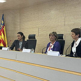Sanidad detecta 160 casos de violencia sobre las mujeres en Castellón a través del programa de cribado durante este año