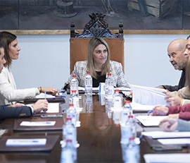 Nuevas lineas de ayuda en el presupuesto 2024 de la Diputación de Castellón