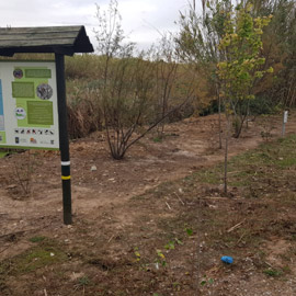 El Servicio de Mantenimiento del Consorcio río Mijares retira las lonas de geotextil de la Gola Norte