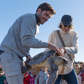 Dos tortugas recuperadas en el Oceanogràfic regresan al mar en Valencia para celebrar el Día Internacional de la Educación