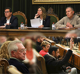 Constitución del Consejo Municipal de Participación Ciudadana de Castellón