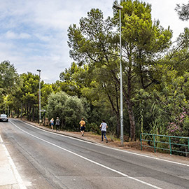 Mejora de la iluminación pública en urbanizaciones de Benicàssim, Montornés,  La Parreta y Las Palmas