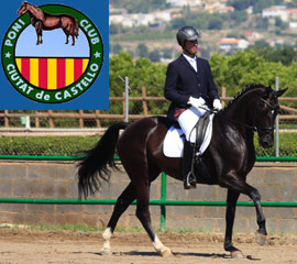I concurso Nacional de Doma Ciudad de Castellón
