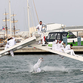 Gran Desfile Marinero y Justas Náuticas de Sète