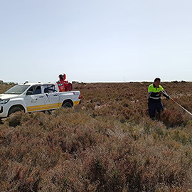 El Ayuntamiento de Torreblanca intensifica los controles y tratamientos para prevenir las plagas de mosquitos