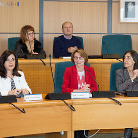 La UJI presenta el portal web UJI ProSkills para impulsar la formación transversal de su estudiantado