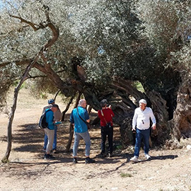 La Diputación promociona entre prensa alemana el turismo patrimonial de la provincia de Castellón
