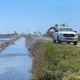 Servicio de Control de Mosquitos de la Diputación de Castellón