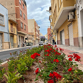 Culminan las obras de la Zona de Bajas Emisiones en el Raval San Félix con la incorporación de 597 especies arbóreas y 95 elementos de mobiliario urbano