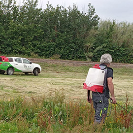 La Diputación de Castellón continúa reforzando el tratamiento de mosquitos en las zonas de marjalería del litoral