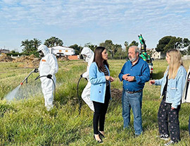 Continuan las labores de pulverización contra los mosquitos en las zonas de aguas estancadas de Castellón