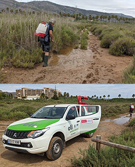 La Diputación intensifica su plan de prevención contra los mosquitos tras el paso de la DANA por la provincia