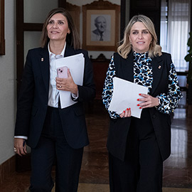 La Diputación de Castellón aprueba la concesión de ayudas a autónomos y pymes de 13 municipios de la provincia afectados por los incendios forestales de 2022 y 2023