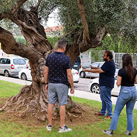 Onda se suma a la campaña europea EUTreeTag para destacar el valor de sus árboles urbanos
