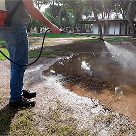 Castellón intensifica los tratamientos contra los mosquitos tras las lluvias