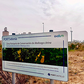 PortCastelló refuerza su compromiso con la protección de la biodiversidad con el proyecto PortSidonia