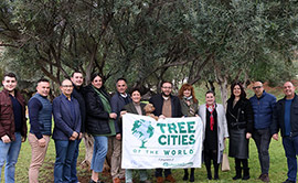 Naciones Unidas revalida el título a Onda como Ciudad Mundial del Árbol por su estrategia verde