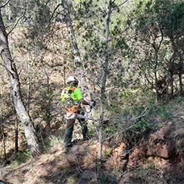 Benicàssim refuerza las labores de mantenimiento de la interfaz urbana en las urbanizaciones de montaña