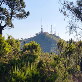 Benicàssim cuenta con 10 senderos para poder disfrutar de la biodiversidad del término municipal y sus privilegiadas vistas